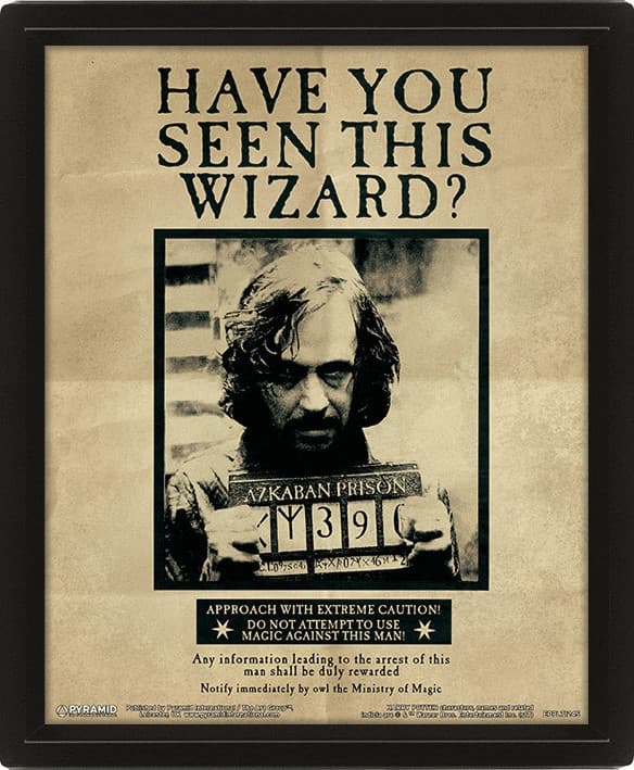 Wall Art - Harry Potter (Potter Sirius) Framed 20x25