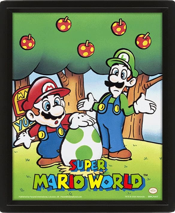 Wall Art - Super Mario World  Framed 3D 20x25