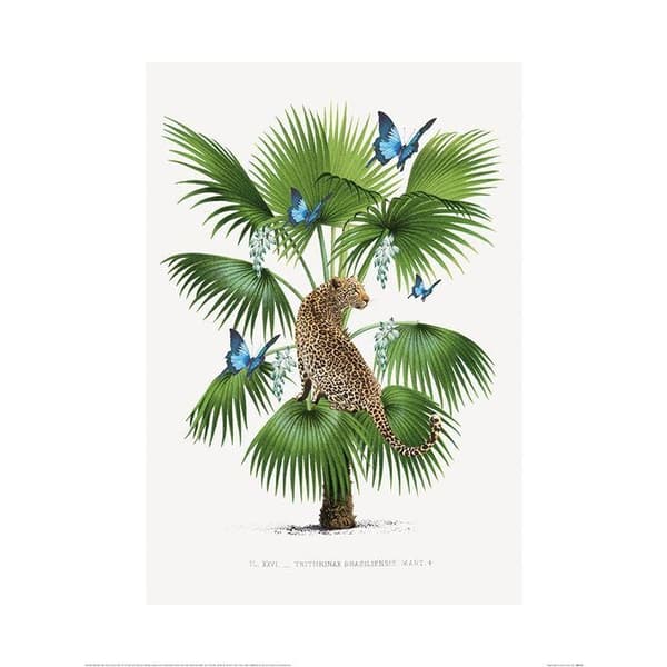 Summer Thornton Leopard Poster Green/Blue/Brown 60cm x 80cm