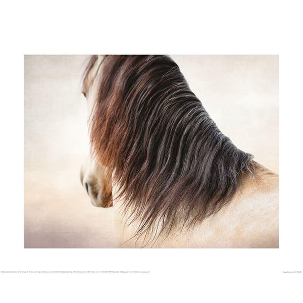 Lisa Saint Demure Poster Beige/Brown 60cm x 80cm