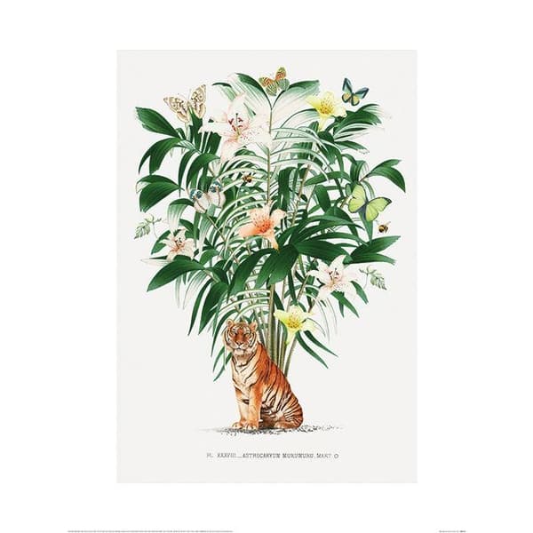 Summer Thornton Tiger-plakat Green/White/Orange 60cm x 80cm