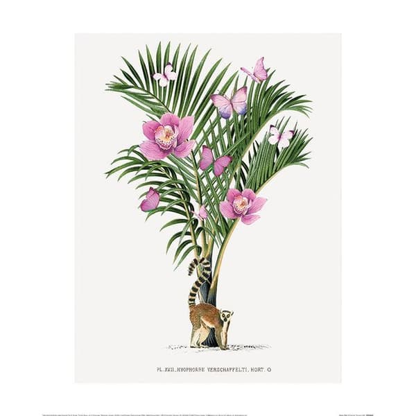 Summer Thornton Lemur Palm Poster