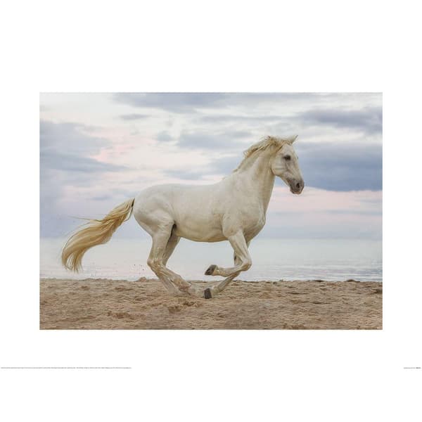 Lisa Saint Jerezano Poster White/Beige/Blue 60cm x 80cm