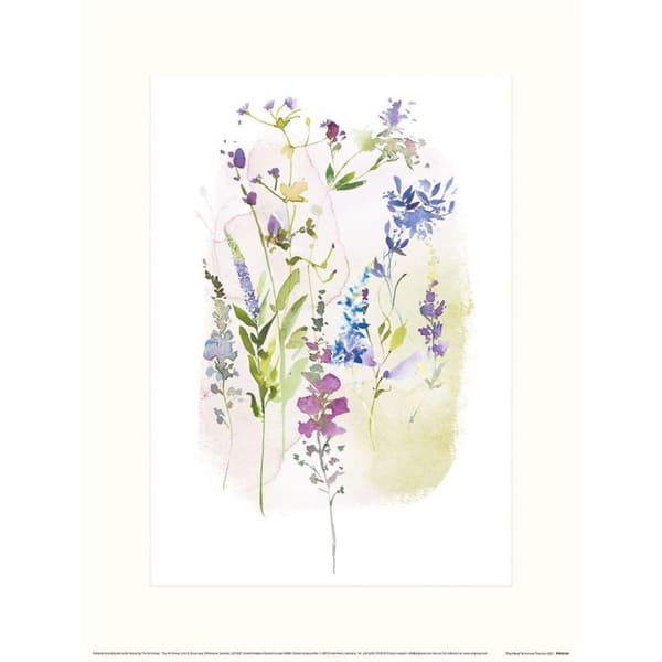 Summer Thornton Floral Print Green/Blue 30cm x 40cm