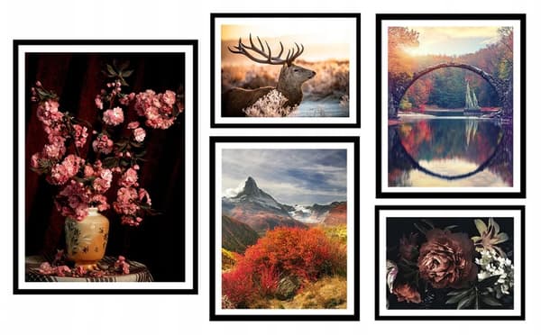 Plakater - Natur / Sæt med 5