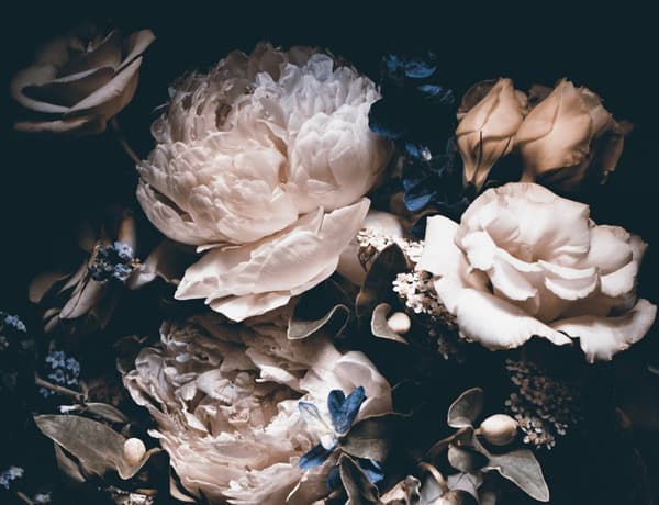 Posters - Byggnader och blommor / set om 4