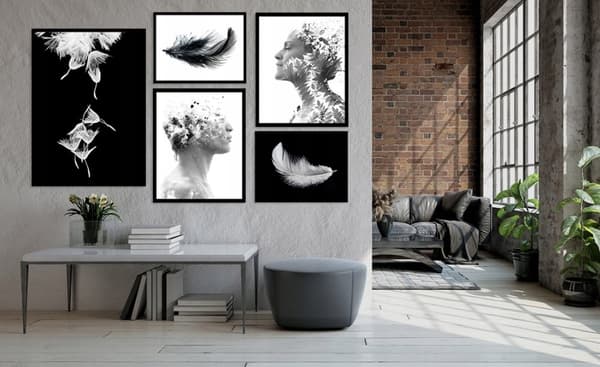 Posters - Svarta och vita fjädrar / Set om 5