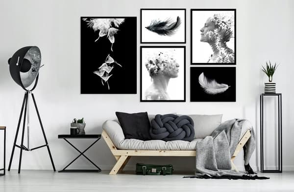Posters - Svarta och vita fjädrar / Set om 5