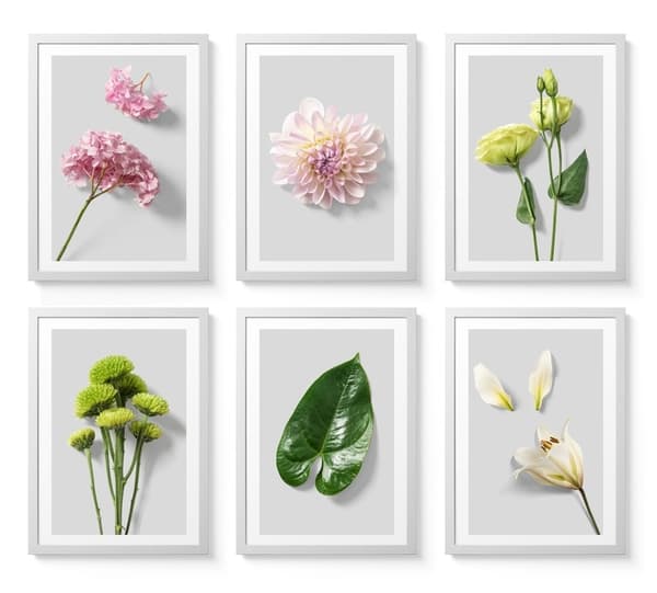 Posters - Blommor och blad / set med 6 st