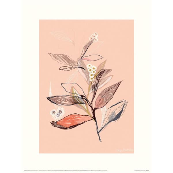 Hope Bainbridge Sketch II Floral Print