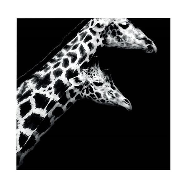 Nicolas Evariste In Love II Print Black/White 40cm x 40cm