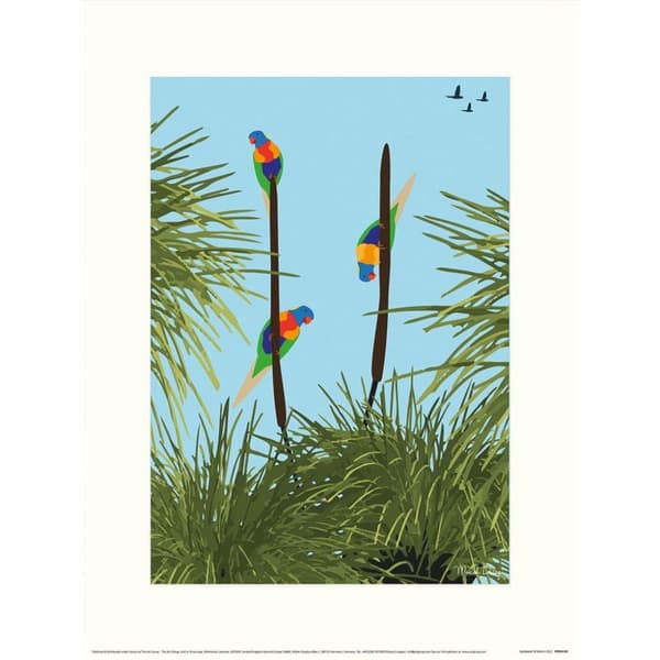 Mokoh Lorikeet Print Blue/Green 30cm x 40cm