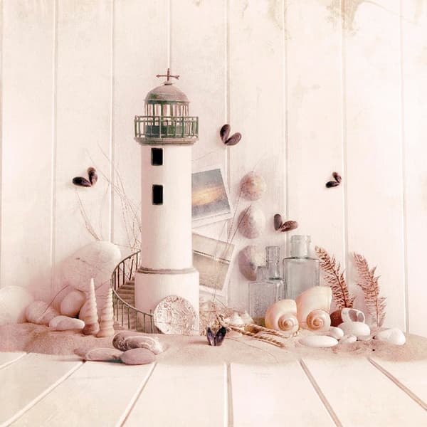 Ian Winstanley Coast Collection indrammet lærredsprint Cream 40cm x 40cm