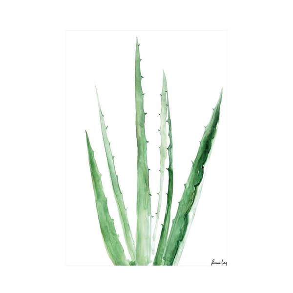 Rosana Laiz Aloe Vera Print Green/White 40cm x 30cm