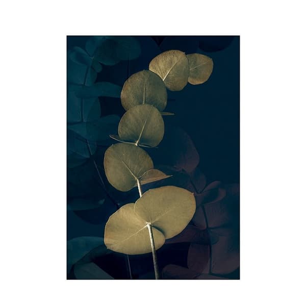 Ian Winstanley Dark Tropics I Print Black/Olive 40cm x 30cm