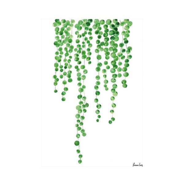 Rosana Laiz String Of Pearls Watercolour Print Green/White 40cm x 30cm