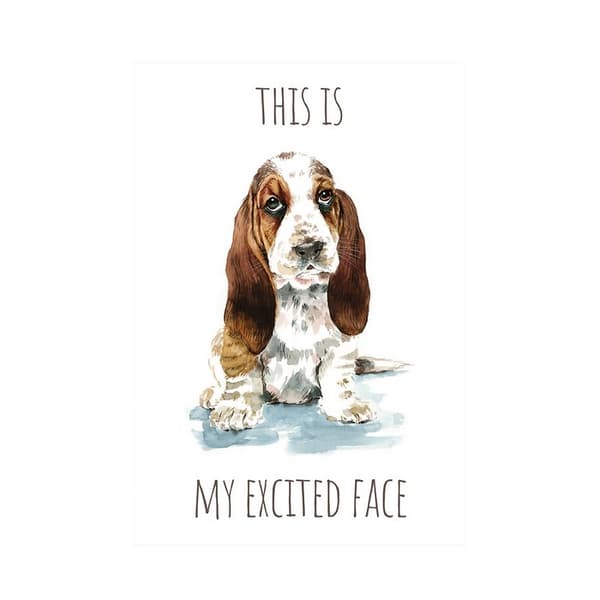 Louise Nisbet This Is My Excited Face Basset Hound Print Brown/White/Black 40cm x 30cm