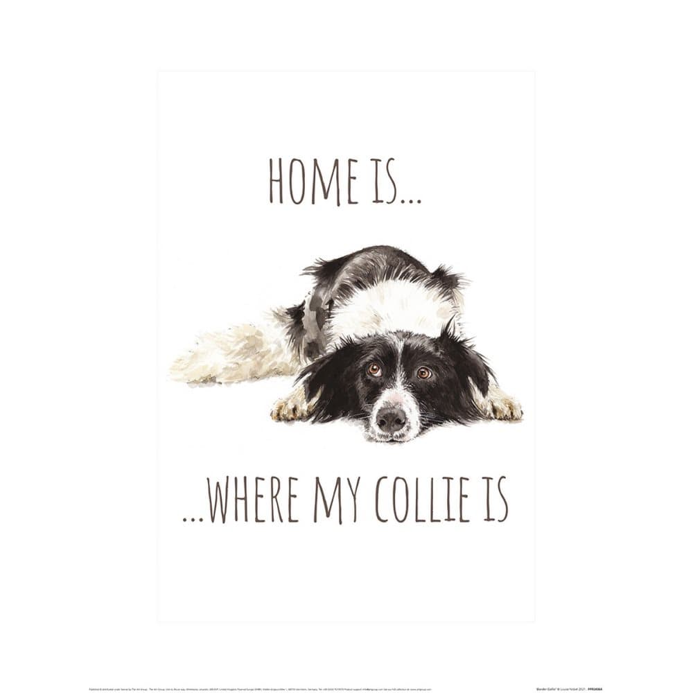 Louise Nisbet Home Is Border Collie Print