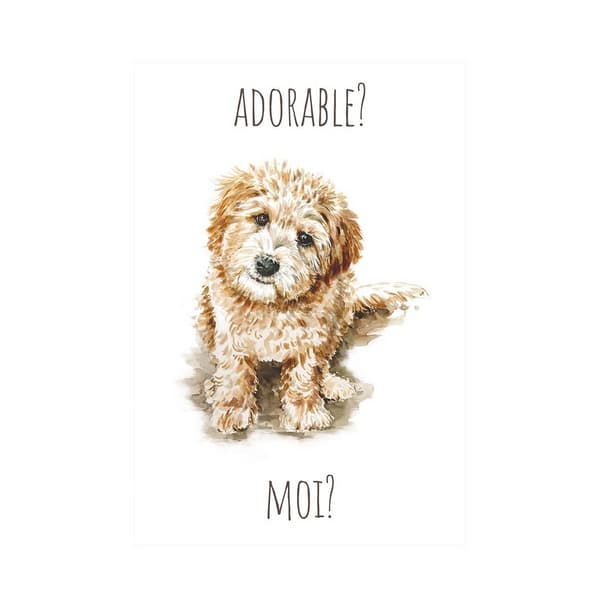 Louise Nisbet Adorable? Moi? Labradoodle Print White/Brown 40cm x 30cm