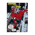 Miniatyrbillede 1 af 5: Marvel Comics - Lærred - Spiderman Comic - 70x50cm