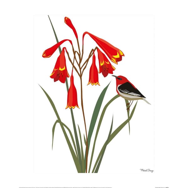Mokoh Honeyeater Bell Print White/Red/Green 40cm x 30cm