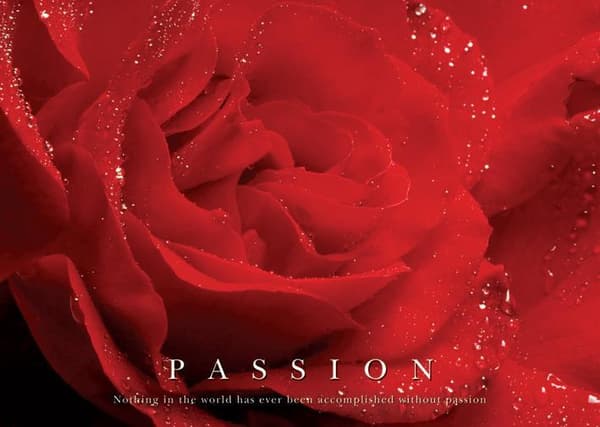 Passion Röd Ros
