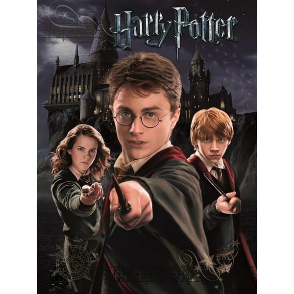 Harry Potter Harry, Ron og Hermione Print Black 30cm x 40cm