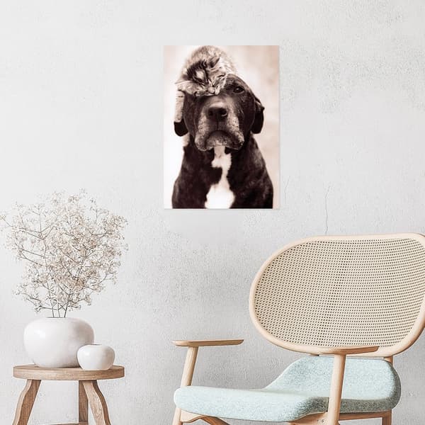 Rachael Hale Loki´s Kitten Print