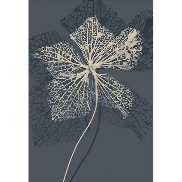 Ian Winstanley Stem Silhouette IV Print Cream/Grey 40cm x 30cm