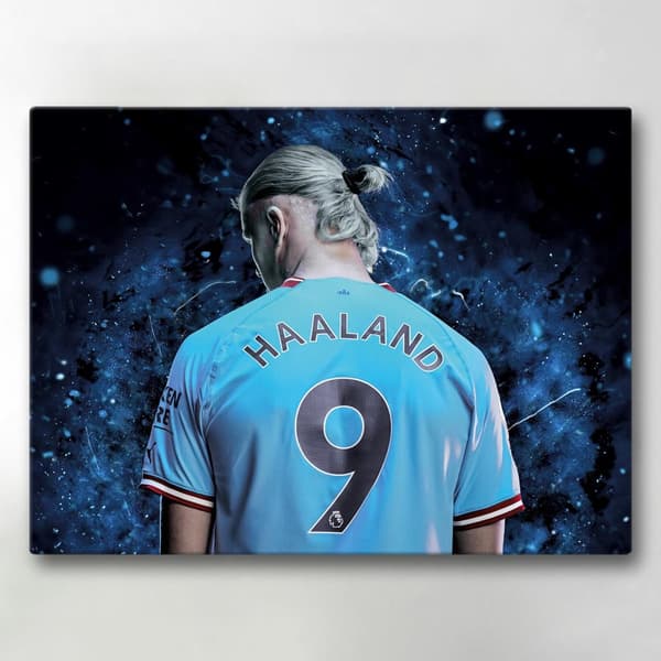 Canvas-taulut / Taulut - Haaland - 40x30 cm - Canvastaulut