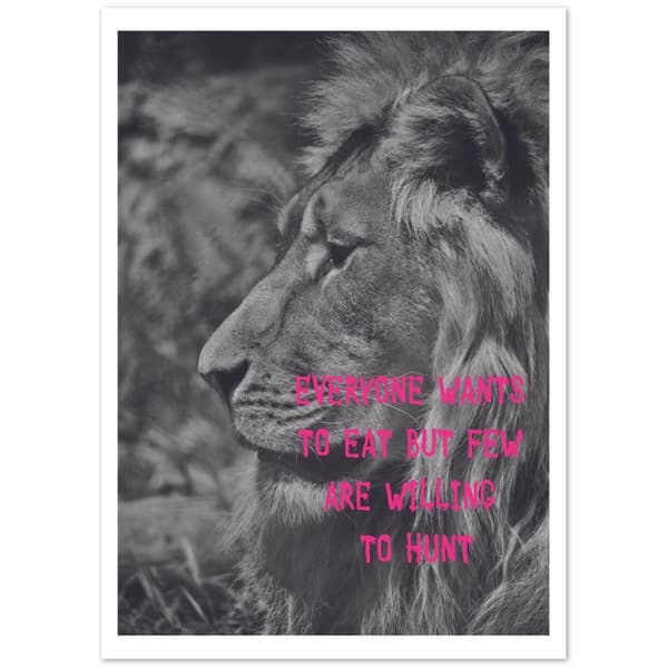 Zebra Poster - 50x70 cm / 20x28?