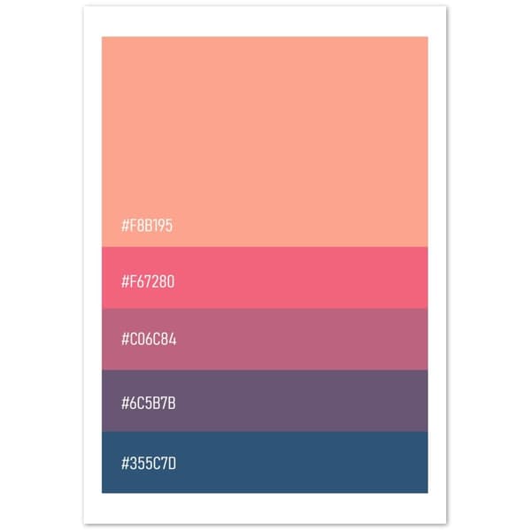Color Code Palettes - 70x100 cm / 28x40?