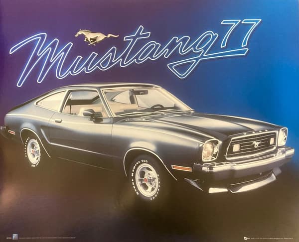 Mustang 77
