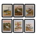 Miniatyrbild 1 av 3: Tavla DKD Home Decor Glas Trä MDF Fåglar (40 x 50 x 1,8 cm) (6 antal)
