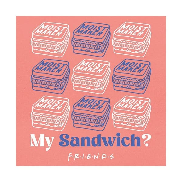 Friends My Sandwich Print Pink/Blue/White 40cm x 40cm