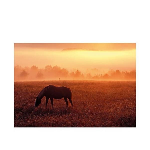 Dennis Frates Hest på en græsmark Print Orange 60cm x 80cm