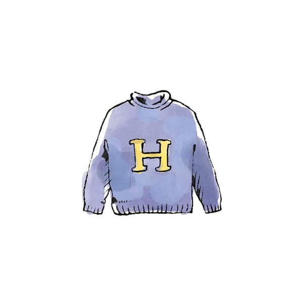 Harry Potter Harry´s Jumper Print
