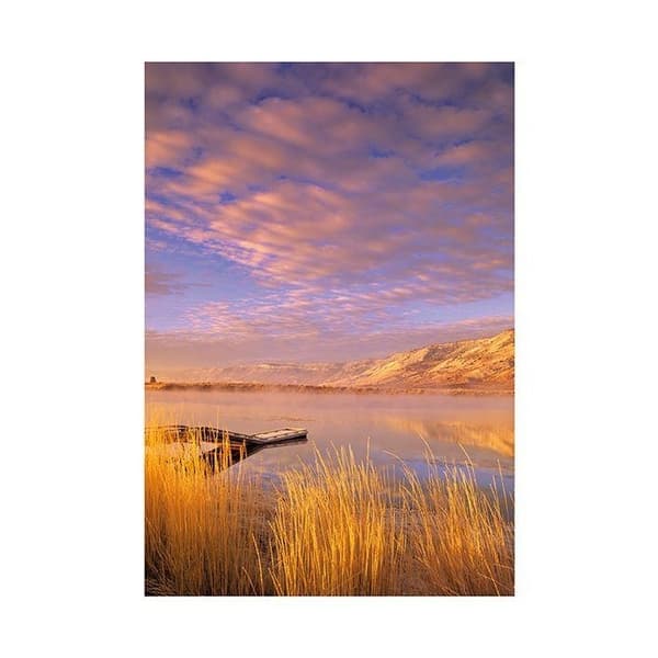 Dennis Frates Ana Reservoir Print Blue/Gold 60cm x 80cm