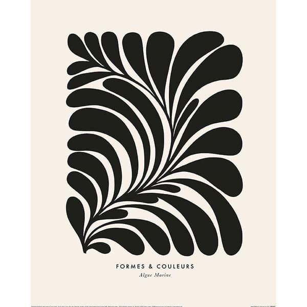 Dominique Vari Algue Marine Print Black/Peach 50cm x 40cm