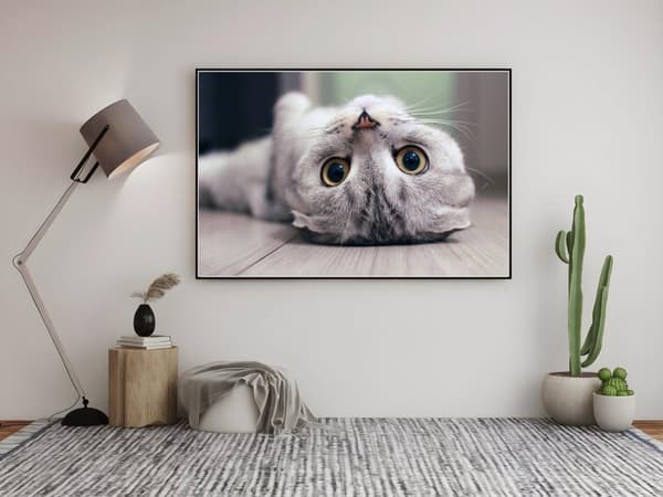 Cat Poster A4