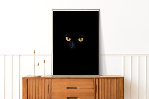 Svart Katt Ögon Tavla Storlek A4