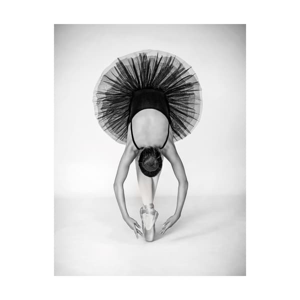 Pyramid International Ballet Technique Print