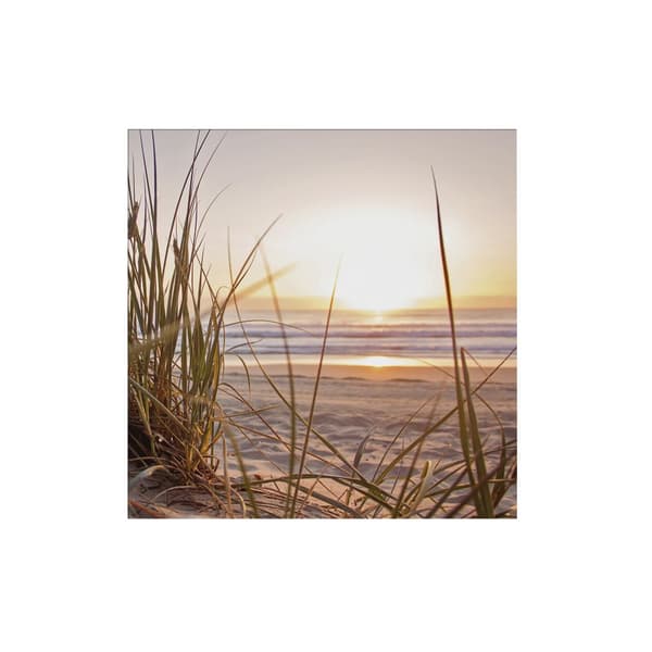 Art for the Home - Udendørs lærred - Sunset Dunes - 50x50cm