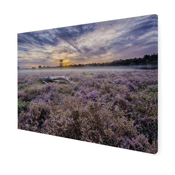 Art for the Home - Utomhusduk - Lavendelfält - 50x70cm