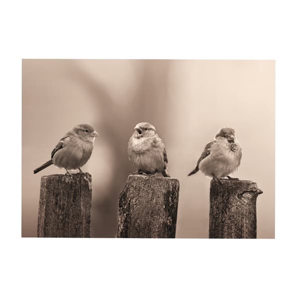 Art for the Home - Utomhusduk - Early Birds - Sepia - 50x70cm