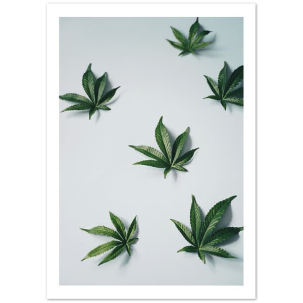 Weed Plants Poster - 21X29.7 cm / 8X12?
