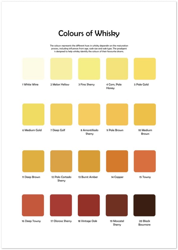 Colours of Whisky - 21X29.7 cm / 8X12?