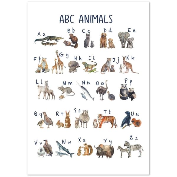 ABC Animals Poster - A4 21X29.7 cm / 8X12?