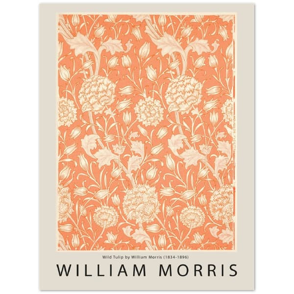 William Morris Poster - 30X40 cm / 12X16?