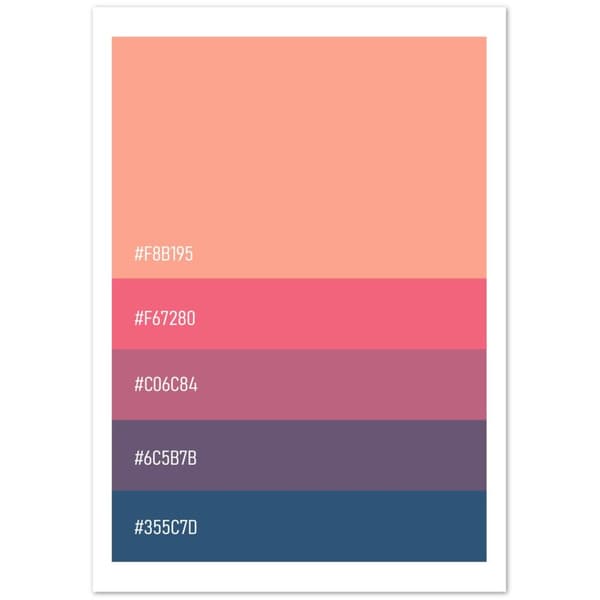 Color Code Palettes - A2 (42 X 59.4 cm)